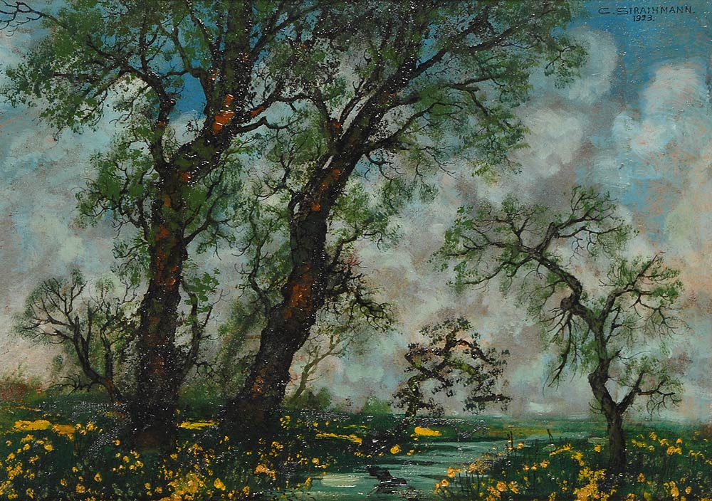 Sommerliche Auenlandschaft
